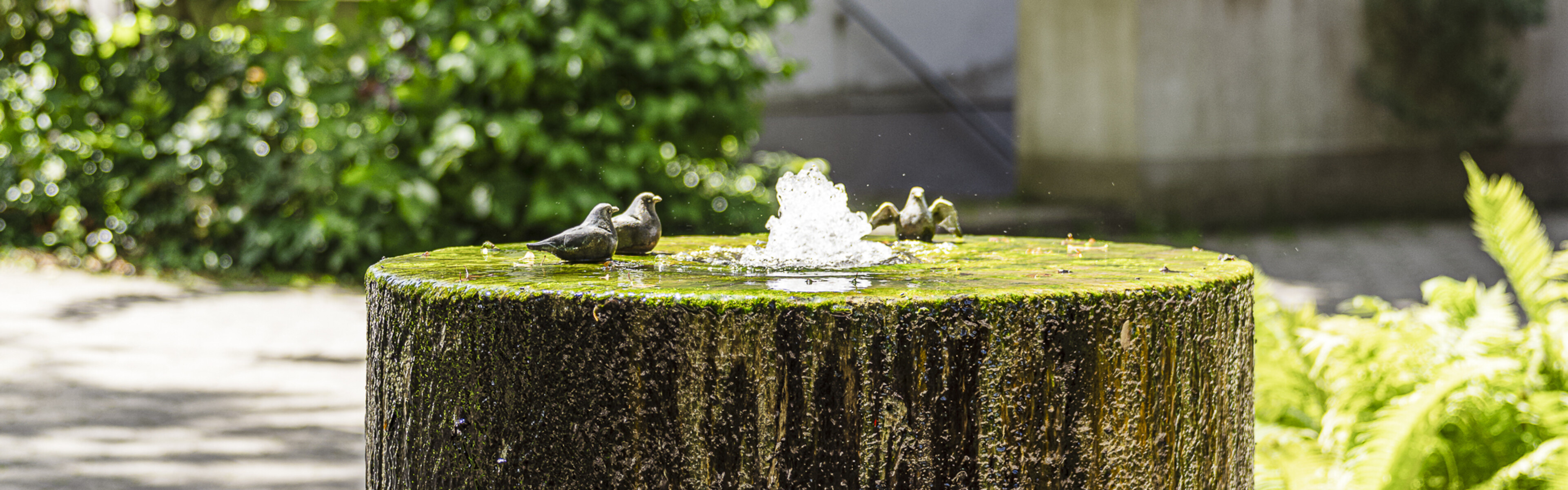 Brunnen in Wohnanlage